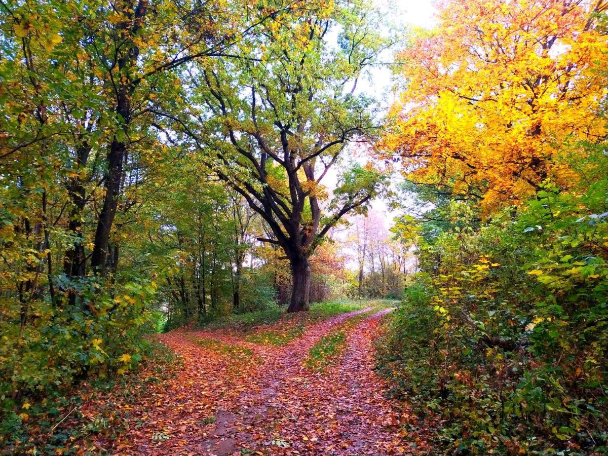 Domecek U Svestku * Cizov (South Moravian)